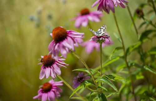 Agriturismo GaiaSofia - adults only - Foto 36