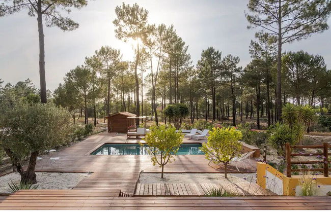 Herdade de Montalvo - Foto 42