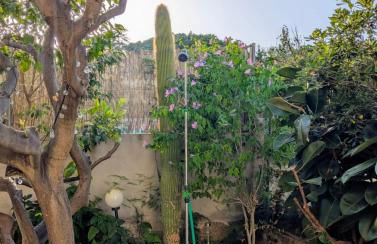 Apartament ca l'Irene - Photo 22