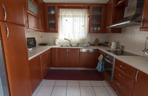 Big family house in Mesochoria village - Foto 6