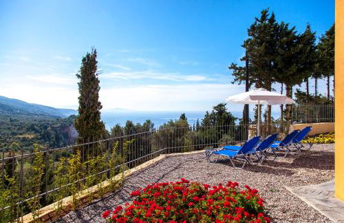 Ble on Blue - Photo 14