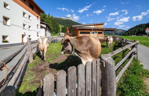 Mühlanderhof Apt Klopairspitze - Foto 26