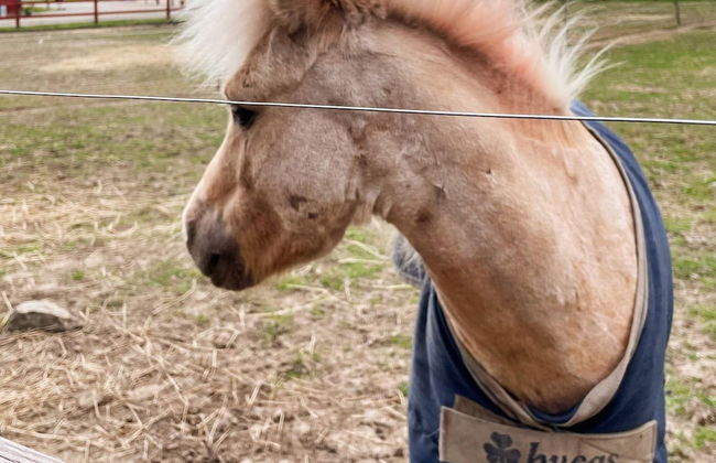 7 Person Holiday Home in Karlskrona - Photo 8