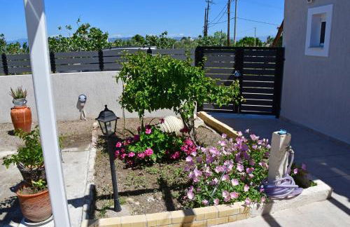 Da Vinci kavouropetra - Foto 8