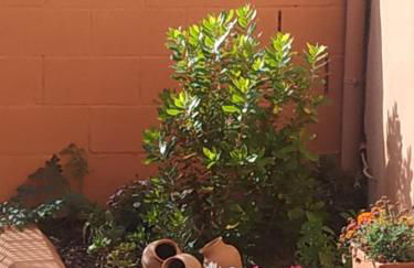 Casa Rural El Horno de la Aldegüela - Foto 13