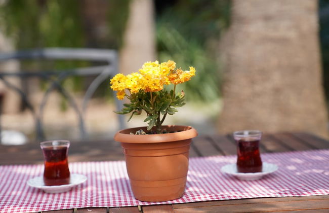 Kadir's Family House - Photo 55