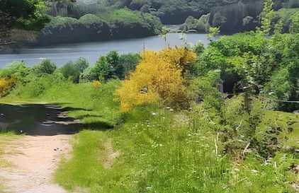 Maison accueillante à La Salvetat-sur-Agout avec terrasse - Foto 10