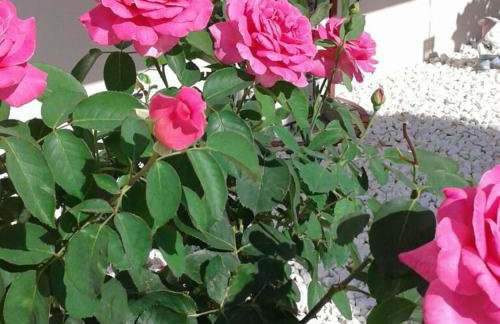 Hotel-Apartments La Strada - Foto 89