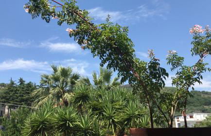 Masseria Torca - Isca - Foto 50