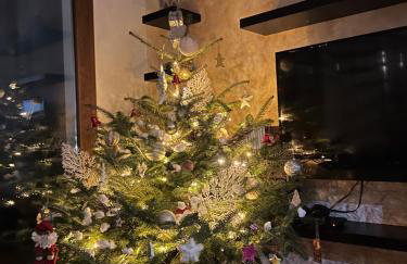 Sea La Vie! - Photo 2