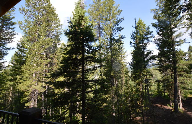 My Yellowstone Retreat - Foto 50