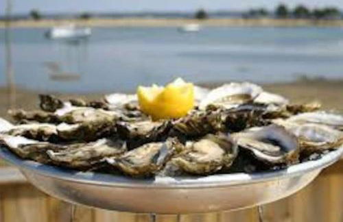 Cosy&Charme piscine chauffée Bassin d'Arcachon - Foto 56