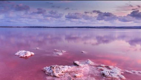 LagoVista45 - Foto 4