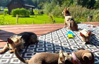 Pasterzewo 19 - Domki na Mazurach - Foto 68