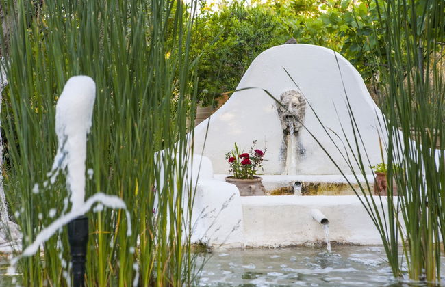 The Olive Yard House - Foto 72