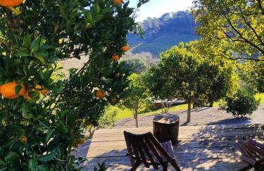 Casa na árvore com banheira, piscina, trilha, cavalo - Foto 39