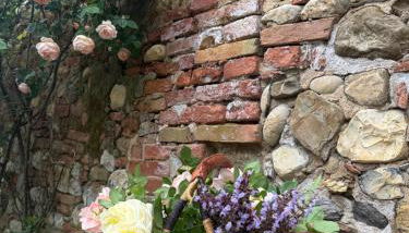 PodereCasello Vicodarbia Siena - Foto 3