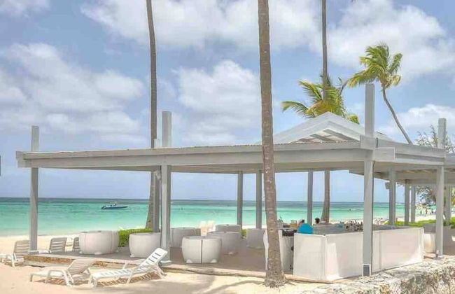 Ocean View, Private Beach, Playa Turquesa - Photo 21