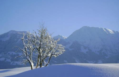 Landhaus Berktold - Photo 30