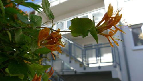 Ferienwohnung "Zum Hafen" Objekt ID 12136-0 - Foto 2