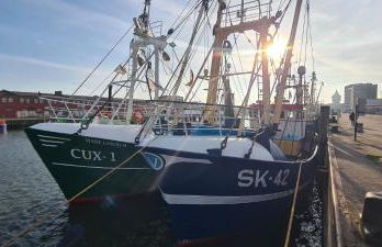 Ferienwohnung Sonja - Foto 32