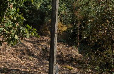 Quinta de São Pedro - Foto 40