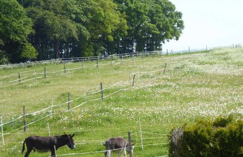 Ferienwohnung Ruhepunkt - Foto 24
