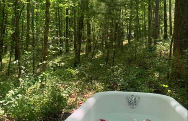 Charming Vacation Rental in a Barn on a Horse Farm near Afton Mountain in Virginia - Foto 13