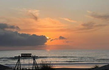 Casa da Mata - Foto 2