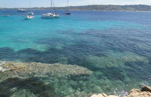 Sa Domu e Muru - Foto 41