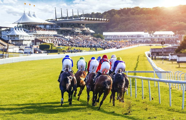 Country Retreat - Sleeps 14 - Large Garden - Foto 61