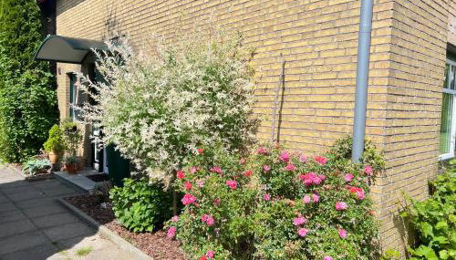 FeWo Zwischen Nord- und Ostsee - Foto 2