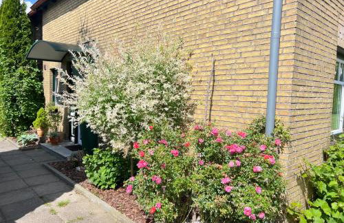 FeWo Zwischen Nord- und Ostsee - Foto 2