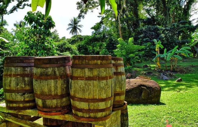 ClarenceVille Villa Apartments - Foto 42