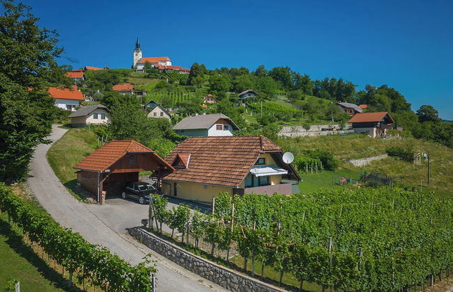 Vineyard Cottage Hocevar With Sauna - Photo 23