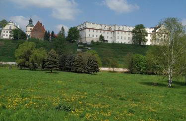 Apartament Pod Leszczyną - Foto 22