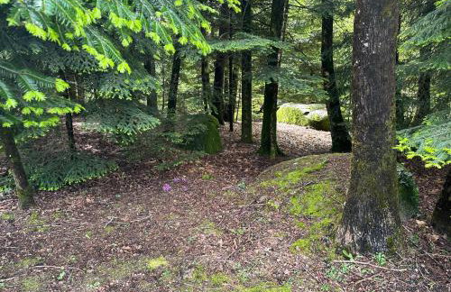 Le repaire du châtaignier, Maison à la campagne, 8 pers, 4 ch, Sidobre - Foto 32