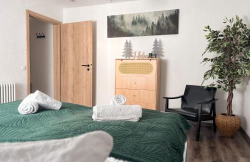 Balkon mit Schwarzwaldblick, Hunde frei, Tischfußball, Parkplatz, familienfreundlich - Foto 20