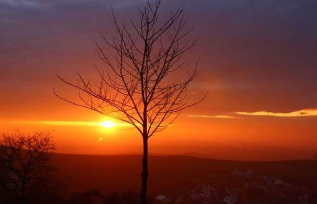 Ferienwohnung in Bischoffingen - Foto 26