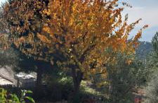 Panorama Studio Afetes - Photo 56