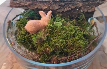 Ferienwohnung in Durbach- Urlaub am Weinberg - Foto 37