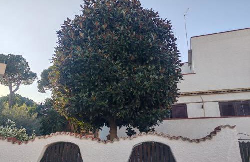 Aminth relax tra mare e colline - Foto 1