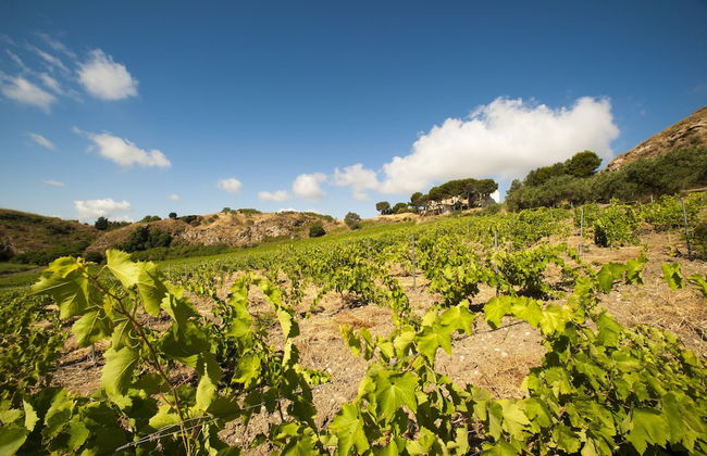 Feudo del Biviere - Foto 27