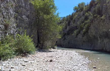 Gite nature les ANOURES en PROVENCE - Foto 27