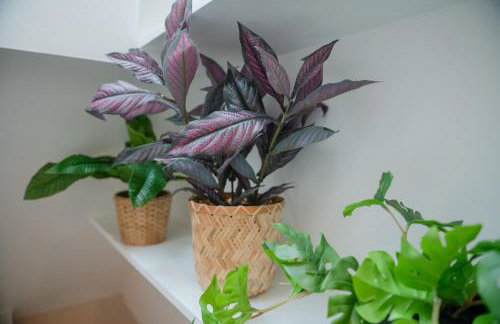 Hazel House - Cosy 2 bedroom house with parking near to Oxford - Foto 65