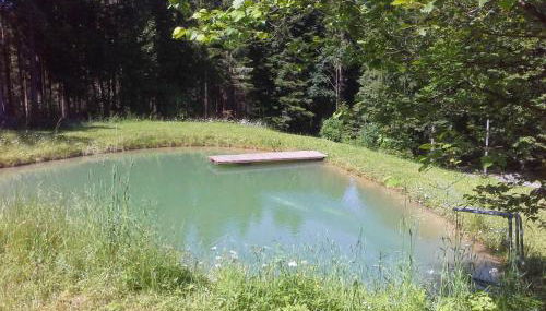 Apartment Ausgebaute Scheune by Interhome - Foto 5