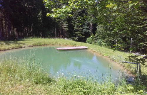 Apartment Altes Bauernhaus by Interhome - Foto 10