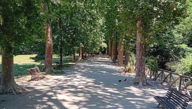 Villa Fossi Rosa Antico, Florence countryside - Foto 3