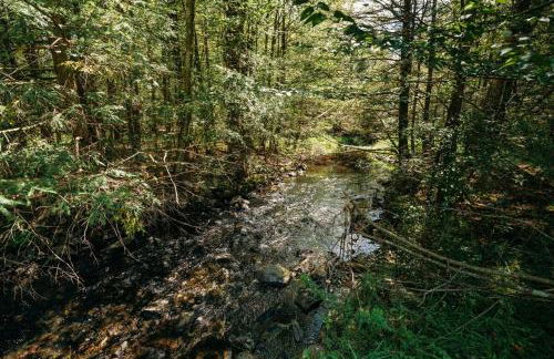 Creekside Family Dreamland - Hot Tub, Firepit, Arcade - Foto 79