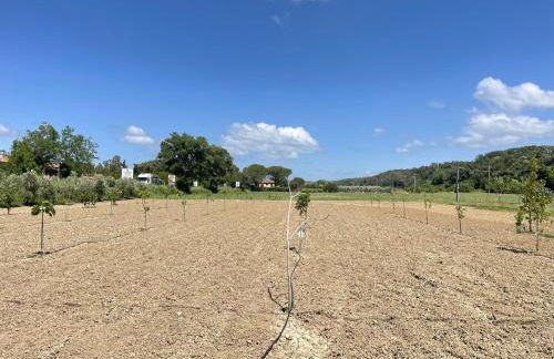 Il Leccio Agriturismo - Foto 60